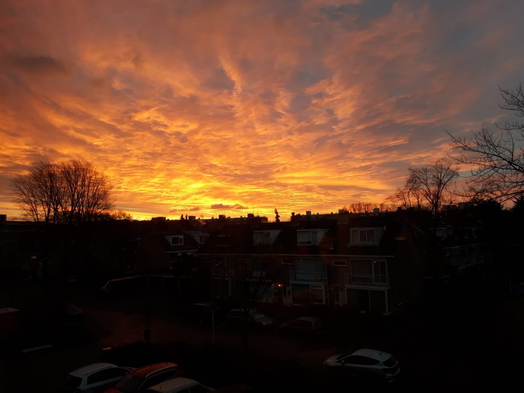 Image 2022-01-08 at 10.32.00(2)